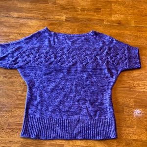 The Limited Purple Sweater